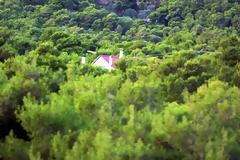 ΠΑΡΑΤΑΣΗ ΕΩΣ ΤΙΣ 31 ΜΑΪΟΥ ΓΙΑ ΤΗΝ ΤΑΚΤΟΠΟΙΗΣΗ ΤΩΝ ΑΥΘΑΙΡΕΤΩΝ
