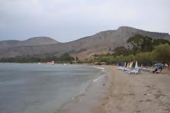 Έπνιξε 3 κουτάβια πετώντας τα στη θάλασσα