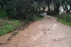 Ο βούρκος και τα θολά λασπόνερα της Πολιτικής