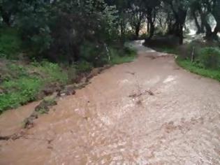 Φωτογραφία για Ο βούρκος και τα θολά λασπόνερα της Πολιτικής