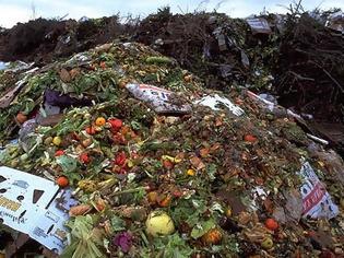 Φωτογραφία για Στα σκουπίδια τα μισά τρόφιμα που παράγονται!