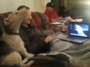 Φωτογραφία για Σκύλος επικοινωνεί με φίλους του... μέσω Skype! [video]