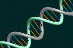 Πόση πληροφορία μπορεί να αποθηκευτεί στο DNA;