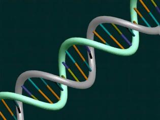 Φωτογραφία για Πόση πληροφορία μπορεί να αποθηκευτεί στο DNA;