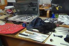 Κυπαρισσία: Βρήκαν κλεμμένες ολόκληρες περιουσίες μετά από έρευνες σε σπίτια Ρουμάνων