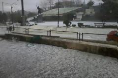 Μακρίσια: Oλοκληρωτική καταστροφή σε εσπεριδοειδή και ελαιώνες από χαλαζόπτωση!
