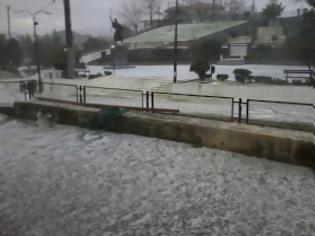 Φωτογραφία για Μακρίσια: Oλοκληρωτική καταστροφή σε εσπεριδοειδή και ελαιώνες από χαλαζόπτωση!