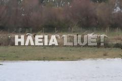 Επιτάλιο: Νέο περιστατικό με παγιδευμένο κοπάδι ζώων στον Αλφειό