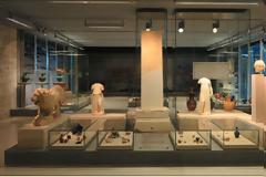 Θεσσαλονίκη: Ενθαρρύνεται η συνεργασία των μουσείων με τα σχολεία