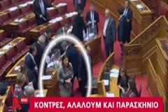 ΒΙΝΤΕΟ-Τα παραλειπόμενα της ψηφοφορίας