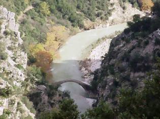 Φωτογραφία για Οικολογική Δυτική Ελλάδα: Το τελευταίο στοίχημα για τις προστατευόμενες περιοχές