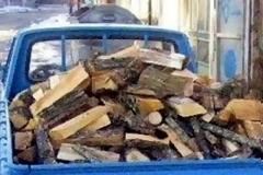 Συνελήφθη και πάλι για λαθροϋλοτόμηση στο Αγρίνιο
