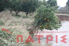 Aλφειός SOS: Σε κατάσταση έκτακτης ανάγκης κηρύχθηκαν οι δήμοι Αρχαίας Ολυμπίας και Ανδρίτσαινας-Κρεστένων