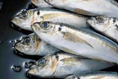 Το ψάρι μειώνει το έκζεμα κατά 25%