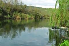 Έμειναν για 22 ώρες σε ένα δέντρο για να γλυτώσουν