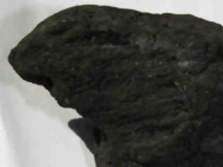 Φωτογραφία για Ράβδος ηλικίας 300 εκατομμυρίων ετών ανακαλύφθηκε στη Ρωσία
