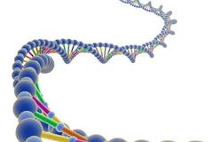 Αποθήκευση των σονέτων του Σέξπηρ στο... DNA!
