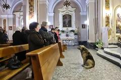Σκύλος… εκκλησιάζεται στη θέση της νεκρής ιδιοκτήτριάς του!