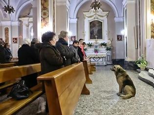 Φωτογραφία για Σκύλος… εκκλησιάζεται στη θέση της νεκρής ιδιοκτήτριάς του!