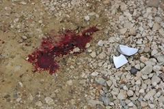 Από το μπλόκο της ΔΙΑΣ στην εντατική - Λεπτό προς λεπτό η δραματική καταδίωξη [video]