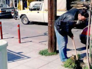 Φωτογραφία για Εθελοντές καθάρισαν νησίδες δενδροστοιχιών στη Θεσσαλονίκη