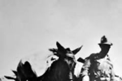 Επίταξη «προβάτων» και επιστράτευση ανθρώπων!!!