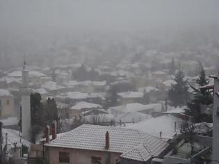 Φωτογραφία για Χιόνια και κρύο στη Β.Ελλάδα