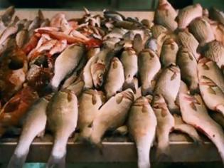 Φωτογραφία για Πάτρα: Κατασχέθηκαν 107 κιλά ψάρια