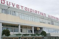 Η ΣΕΚΑΠ, οι Τούρκοι και ο Ιβάν!