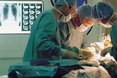 Αναγκαστικοί δότες οργάνων θα γίνουν οι Ελληνες από τον Ιούνιο 2013