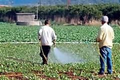 «Μάστιγα» το λαθρεμπόριο τοξικών φυτοφαρμάκων