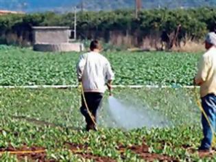 Φωτογραφία για «Μάστιγα» το λαθρεμπόριο τοξικών φυτοφαρμάκων