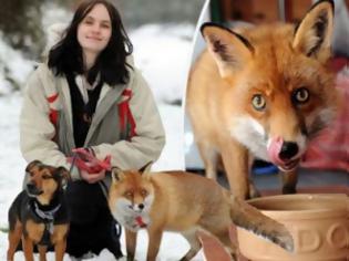 Φωτογραφία για ΣΚΥΛΙΣΙΑ ΖΩΗ: Διαβάστε τη συγκινητική ιστορία της αλεπούς που ζει σαν σκύλος!