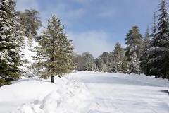 Επικίνδυνο το οδικό δίκτυο στο Τρόοδος