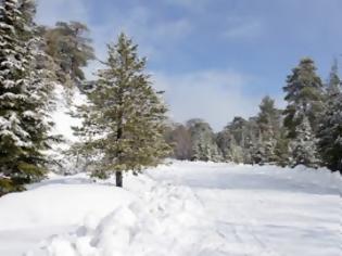 Φωτογραφία για Επικίνδυνο το οδικό δίκτυο στο Τρόοδος