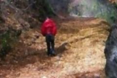 Θρίλερ με τον 30χρονο ορειβάτη - Ανοιχτό το κινητό του