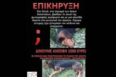 Κρήτη: Επικήρυξαν με 1.000 € άθλιο βασανιστή σκύλου