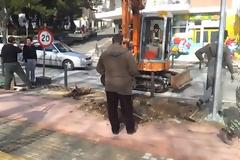 Έκοψαν δέντρα σε δρόμο της Ξάνθης-Διαμαρτυρίες των κατοίκων [video]