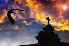 Μηνυτήρια Αναφορά κατά του Μητροπολίτη Ναυπάκτου, γιά 