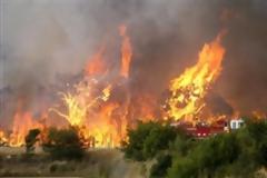 Αυστραλία: Τους έκαψε ένας 75χρονος ηλικιωμένος