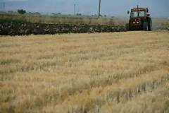 Λαχανόκηπος με καλλιεργητές άπορους στο Ηράκλειο