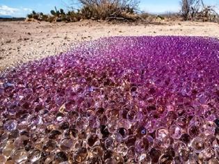 Φωτογραφία για Μυστηριώδεις μοβ σφαίρες βρέθηκαν στην έρημο της Αριζόνα - Βίντεο
