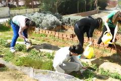 Δημοτικός Λαχανόκηπος στη Μυτιλήνη για 100 άπορες οικογένειες