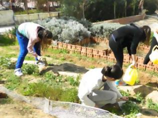 Φωτογραφία για Δημοτικός Λαχανόκηπος στη Μυτιλήνη για 100 άπορες οικογένειες