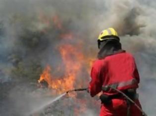 Φωτογραφία για Αχαΐα: Δύο πυρκαγιές το μεσημέρι σε Πλατανόβρυση και Μιτόπολη