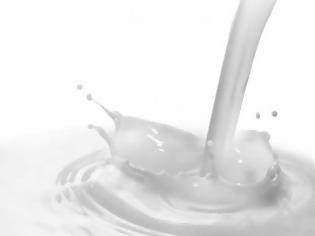Φωτογραφία για Είδη γάλακτος: πως ωφελούν τον οργανισμό & ποια είναι τα θετικά και αρνητικά