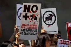 Μάχη ακτιβιστών για να κλείσουν οι αρένες των ταυρομαχιών
