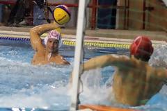 ΤΗ ΜΟΝΠΕΛΙΕ ΥΠΟΔΕΧΟΝΤΑΙ ΑΥΡΙΟ ΟΙ ΕΡΥΘΡΟΛΕΥΚΟΙ