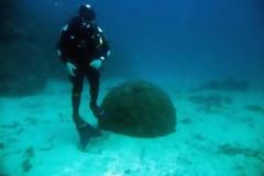 Λεχαινά: Ανασύρθηκε νάρκη του Β' Παγκοσμίου Πολέμου!