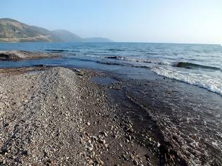 Φωτογραφία για «Μπάτε σκύλοι αλέστε» έχει καταντήσει ο Δήμος Δελφών!